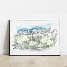 Load image into Gallery viewer, Moreton Bay Fig Tree, Balboa Park, San Diego Hand Drawn Fine Art Prints
