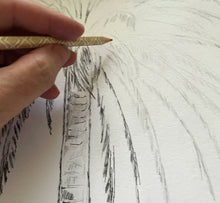Load image into Gallery viewer, Presidio Park, View 2 San Diego, California Hand Drawn Fine Art Prints
